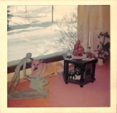 HA-Photos-F-1969-048