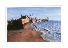 HA-Photos-Seperate-XIV-1983-002